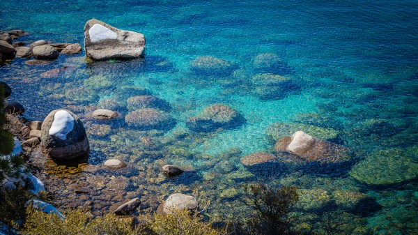 No Diving Alowed by Nicholas