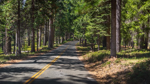 Wheres the Wine by Nicholas