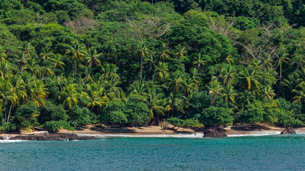 Costa Rica Beach w- more water by Nicholas