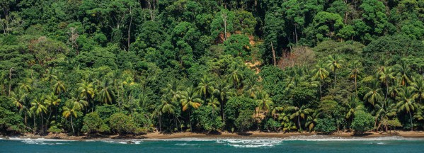 Costa Rica Beach Panorama  by Nicholas