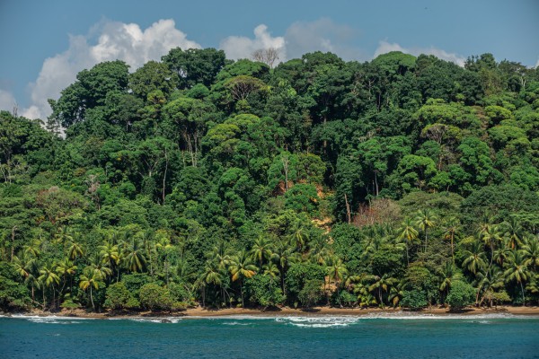 Costa Rica Beach 2 by Nicholas