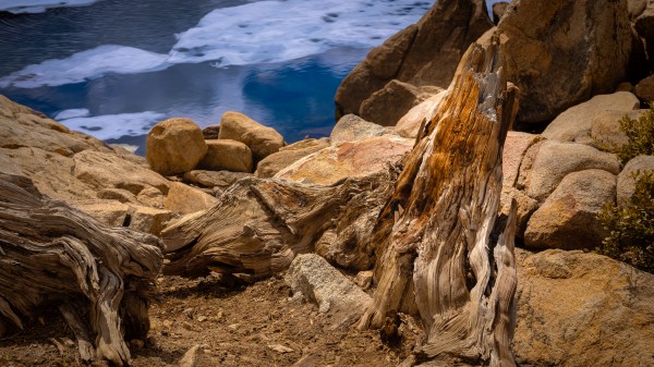 Still Standing by Nicholas