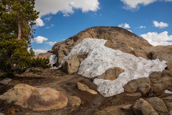 Cold Rock in Detail by Nicholas