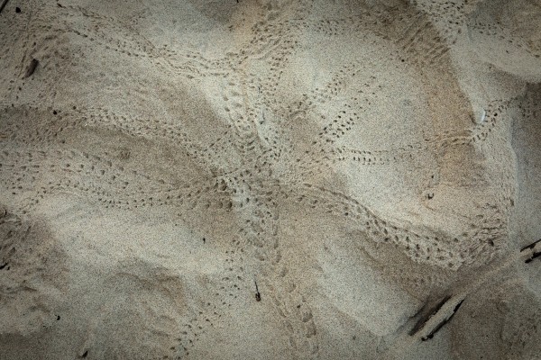 Beach Intersection by Nicholas