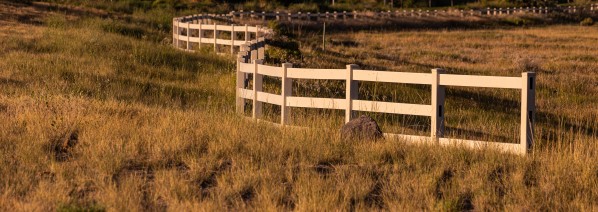 End of the Line by Nicholas