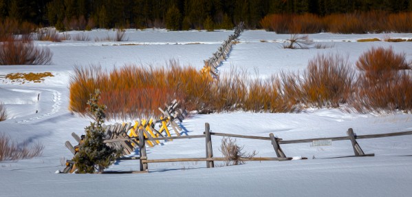 Snow Covered Meadow Squaw Valley by Nicholas