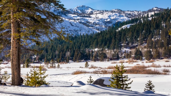 Squaw Valley   by Nicholas