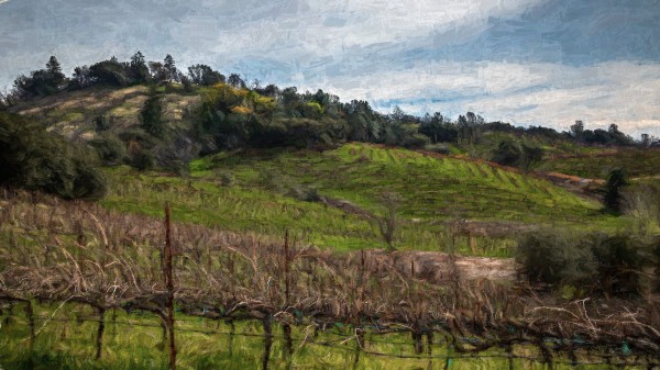 Iron Hub Vineyard Painted by Nicholas