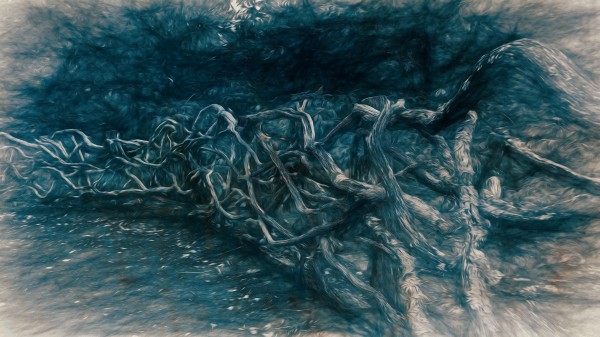 Blue Fence by Nicholas