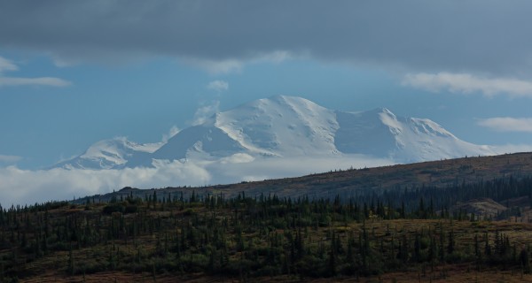 Mount Denali North Face by Nicholas