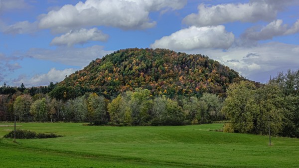 Tree Covered Hill by Nicholas