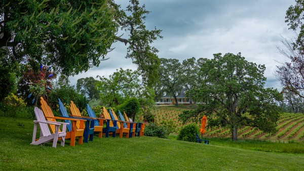 Adirondack Chairs in Vinyard by Nicholas