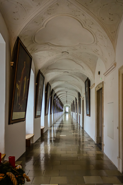 The Walk  by Nicholas