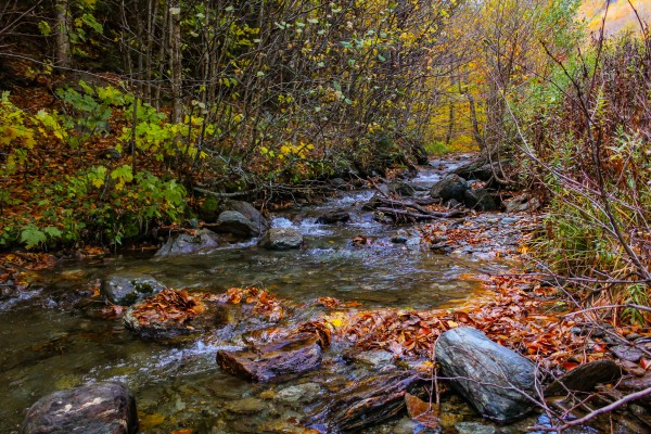 A Bigger Fall Strem Print