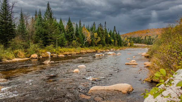 River Wide Descending Light by Nicholas
