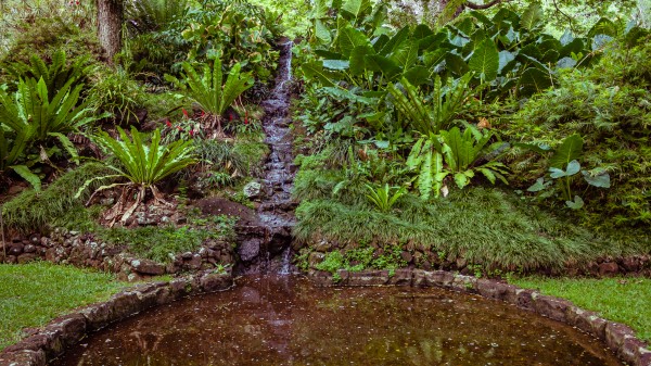Soothing Pond by Nicholas