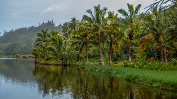 Lagoon Print