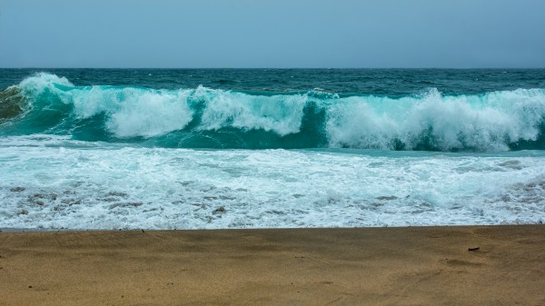 The Long Role by Nicholas