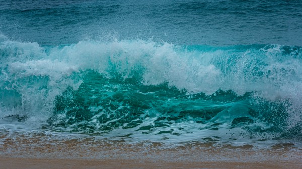 Wave underbelly Print