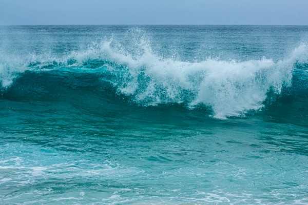 The Curl by Nicholas