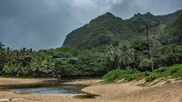 Northcoast Pond Kauai by Nicholas