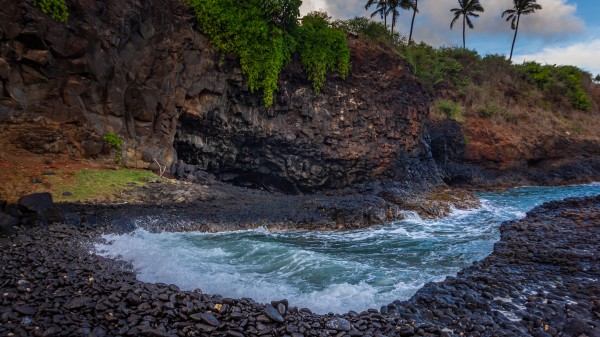 Cove Wave by Nicholas