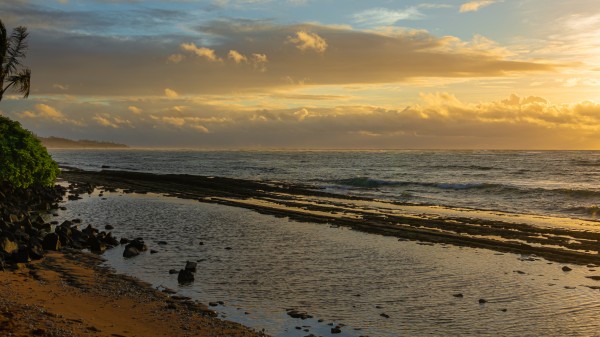 Hawaiian Dawn Cropped by Nicholas