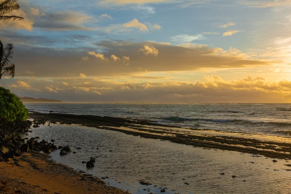 Hawaiian Dawn  by Nicholas