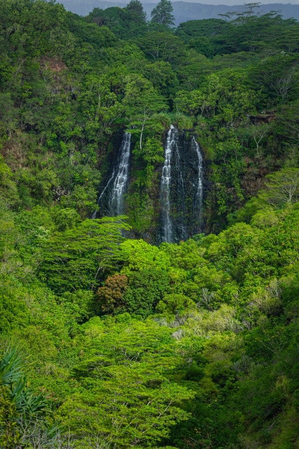 Multi Waterfall by Nicholas