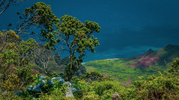 Kalalau Valley 4 by Nicholas