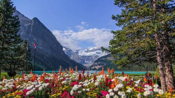 Lake Lorraine with Flowers Print