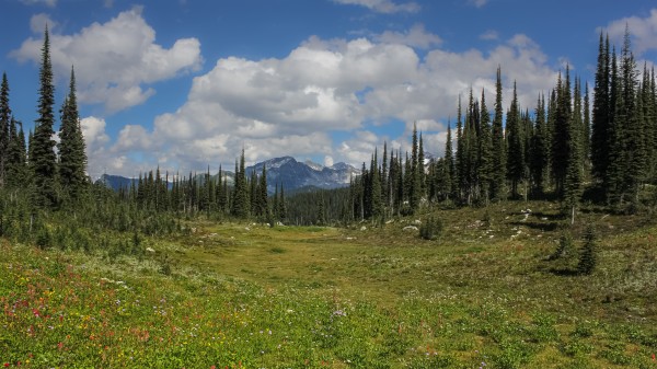 Meadows In The Sky by Nicholas