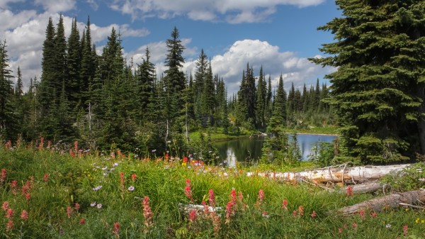 Meadows In The Sky 3 by Nicholas