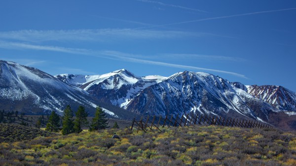 Mammoth Neighborhood by Nicholas