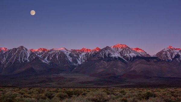 The Road to Death Valley by Nicholas