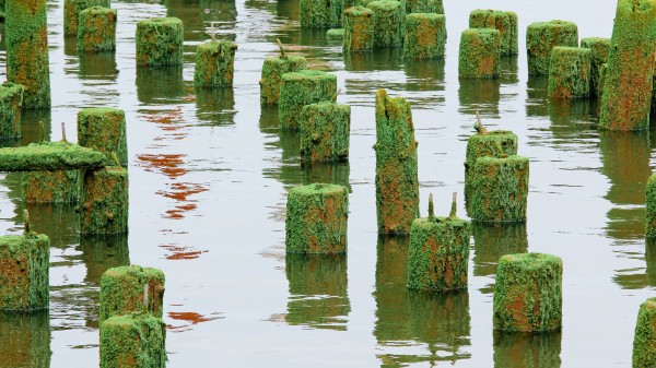 Abandoned Pier by Nicholas