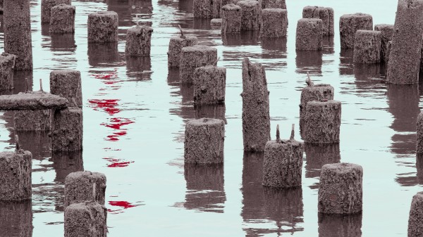 Abandoned Pier Black and White Print