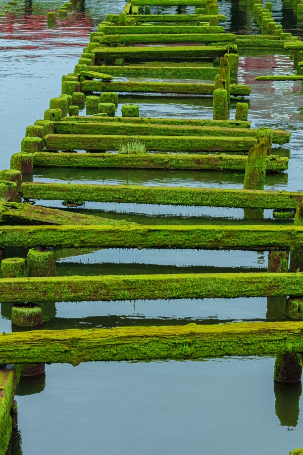 Green Rails by Nicholas