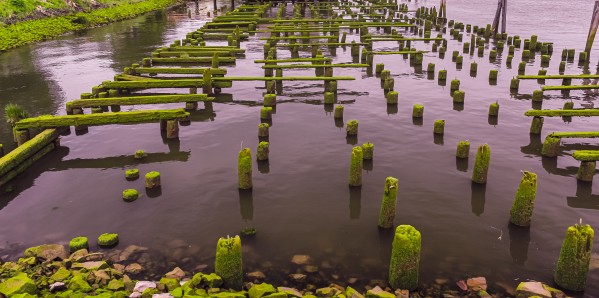 Dock in Decay 2 by Nicholas