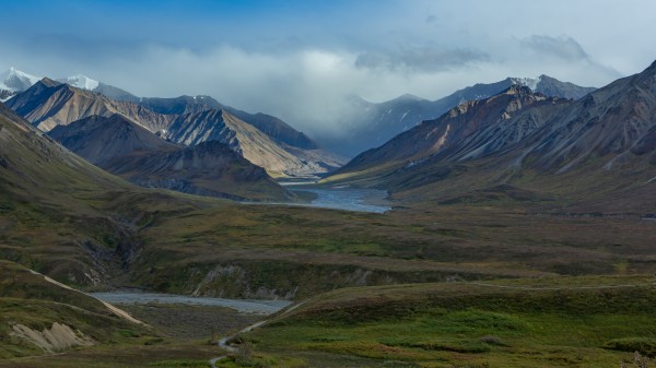 Alaskan Tundra by Nicholas