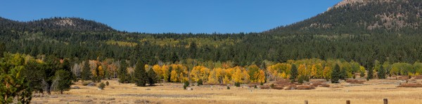 Hope Valley by Nicholas