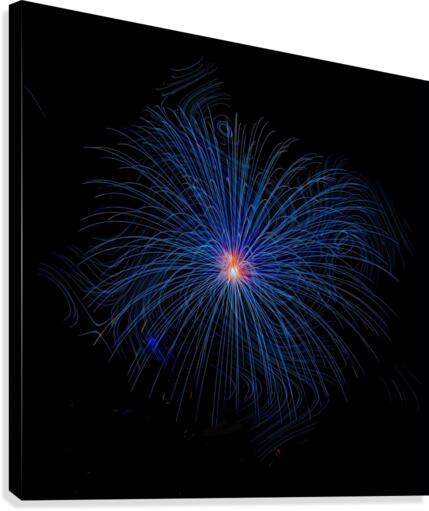 Firework Dream 2.1 Canvas Print
