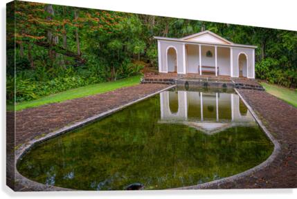 Reflections Canvas Print