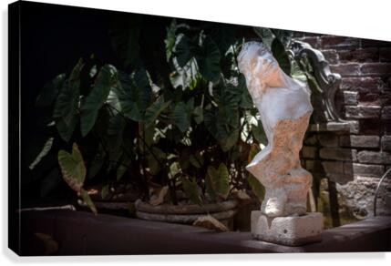 Bust at the Hotel California Canvas Print