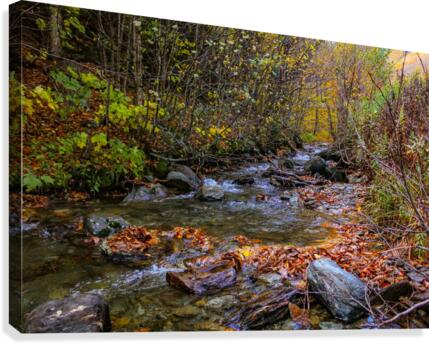 A Bigger Fall Strem Canvas Print