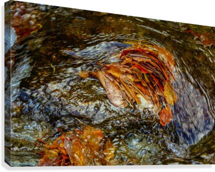 Leaf Blockade Canvas Print