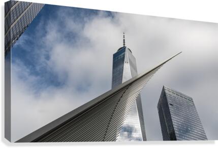 Things are looking up Canvas Print