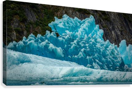 Prickely Iceburg Canvas Print