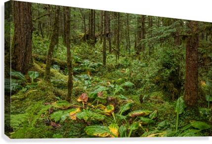 Green and Wet Canvas Print