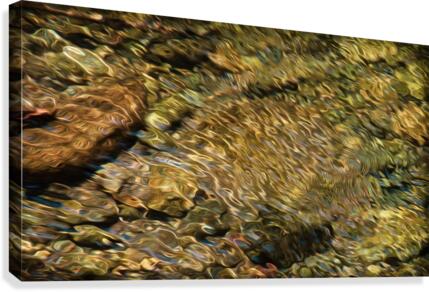 Liquidity Canvas Print